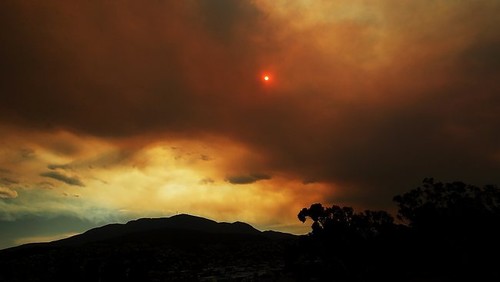 Tasmania near Dunalley © SW